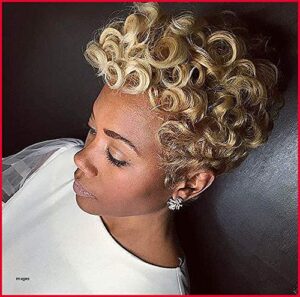 Naseily Short Blonde Afro Curly Wigs for Black Women Natural Synthetic Wigs for Women Short Blonde Hairstyles for African American Women
